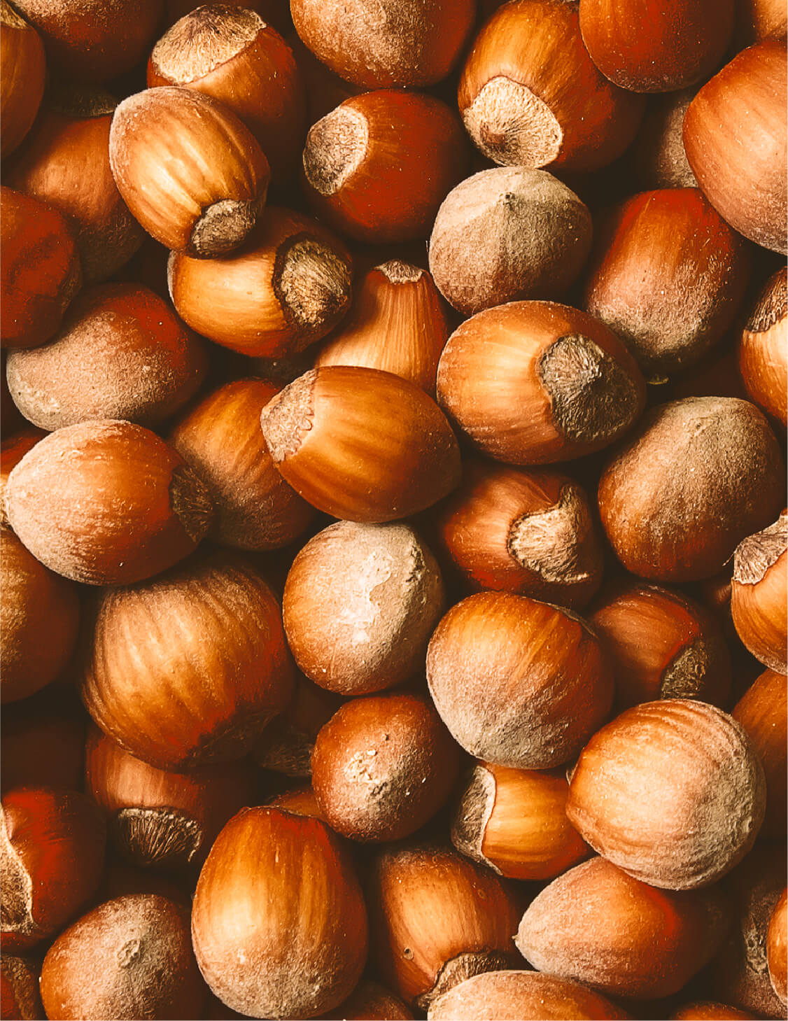 Kraft Hazelnut hazelnuts