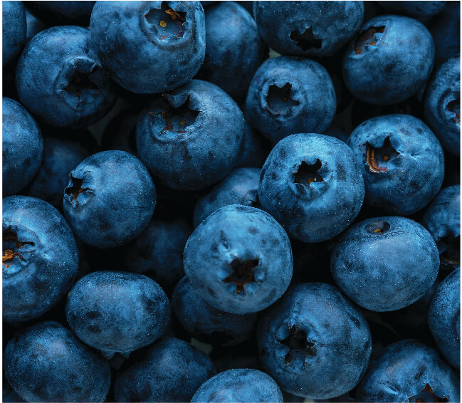 Blueberries