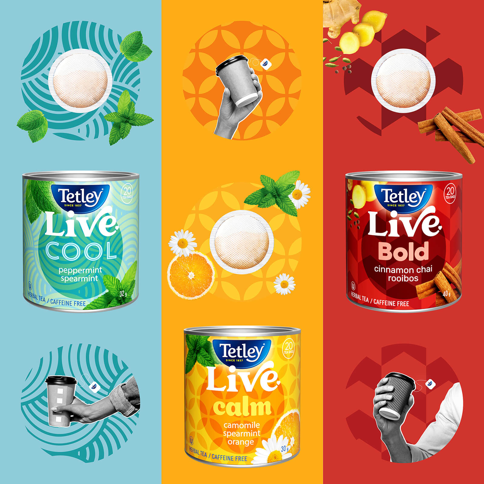 Tetley Live group shot