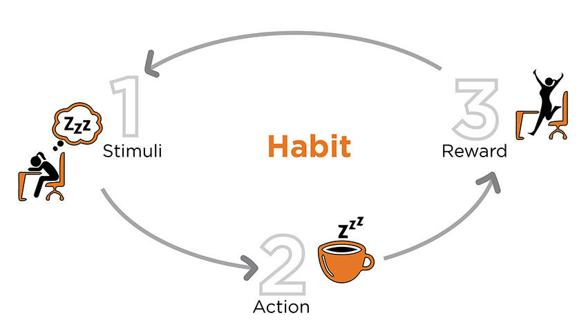 the habit cycle: stimuli, action, reward
