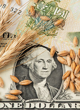 US One Dollar Bill with Wheat and Grains