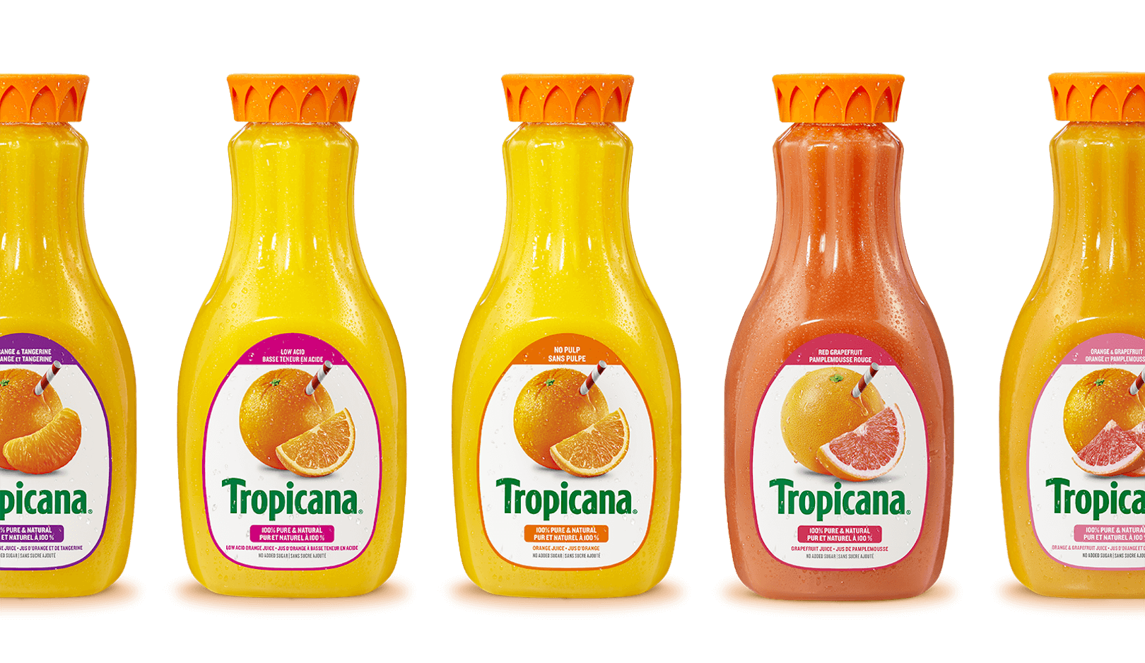 Tropicana Juice lineup with all the juices