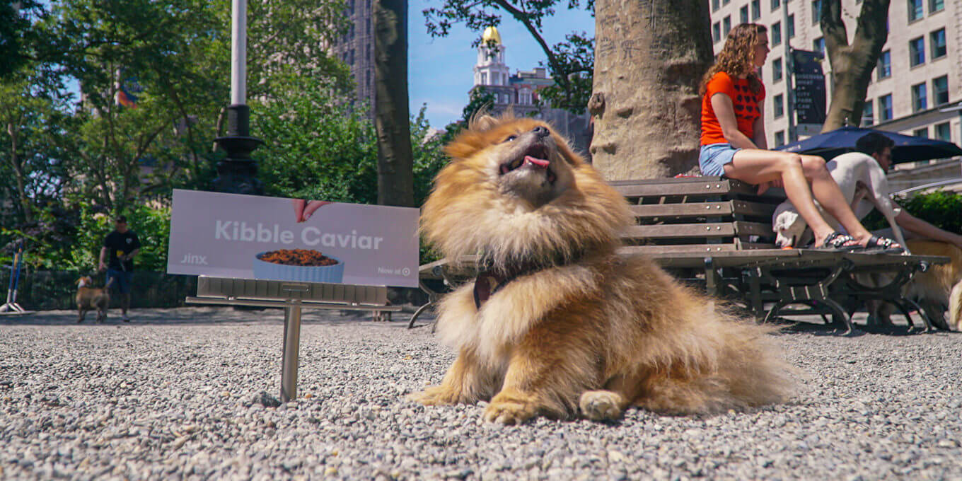 A dog posing next to a Jinx sign in a park.