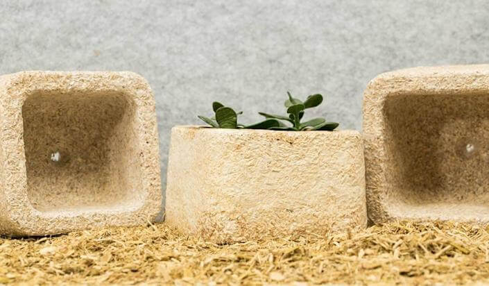 mushroom based packaging on a bed of hay with plants growing out of it