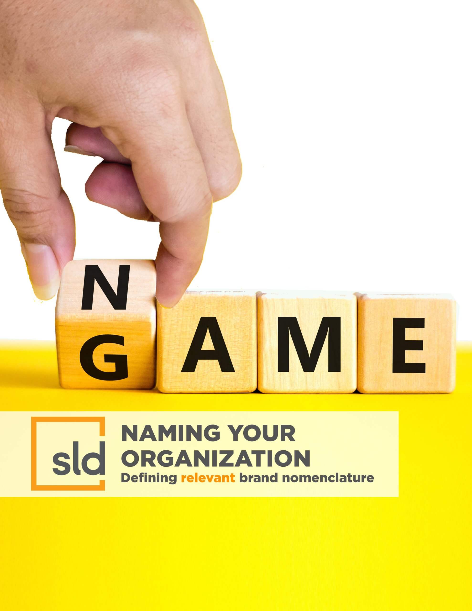 The Guide To Naming Your Organization SLD The Guide To Naming Your Organization SLD